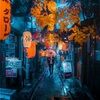 mapleandtorii
